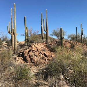 Meet your Posher, Nico